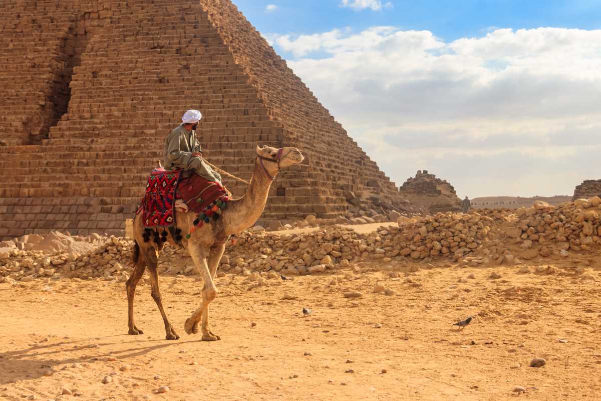 Camel Riding and Stargazing at the Giza Desert Lantern Festival
